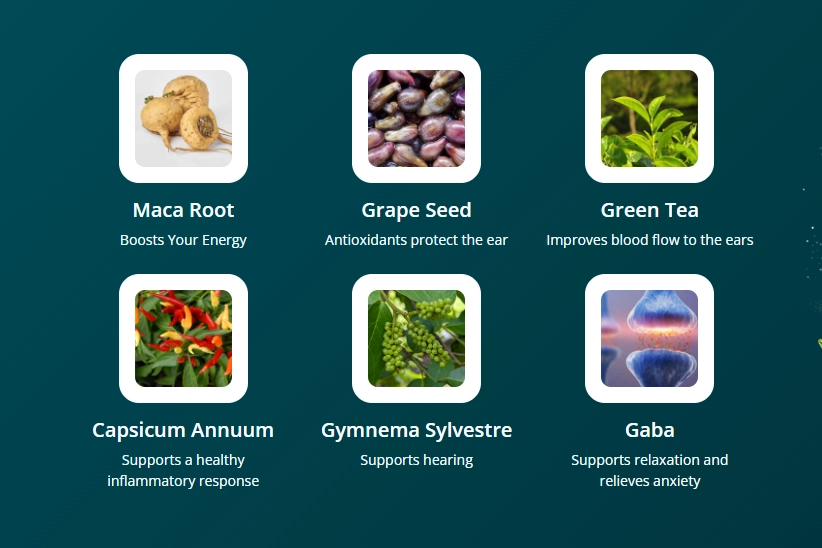 Audifort ingredients including maca root, grape seed, green tea, capsicum, gymnema sylvestre, and GABA