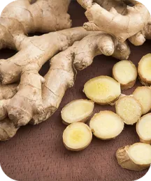 Ginger root ingredient illustration