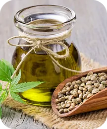 Hemp seed oil ingredient illustration