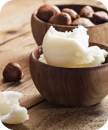 Shea butter ingredient illustration