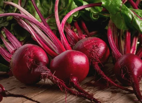 Beet roots representing beet root extract
