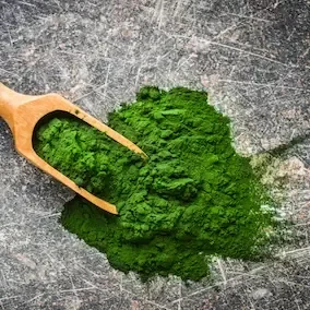 Chlorella algae powder, a vendor-listed Pineal Guardian X ingredient