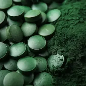 Spirulina algae illustration from the Pineal Guardian X vendor assets