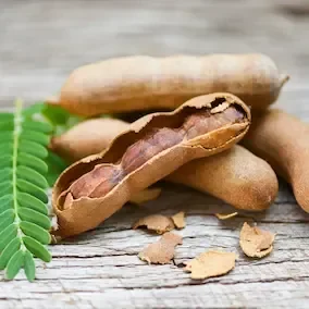 Tamarind pod with seeds, a vendor-listed Pineal Guardian X ingredient